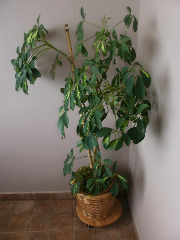 Corry 1 Apartment Ravni Ruang foto